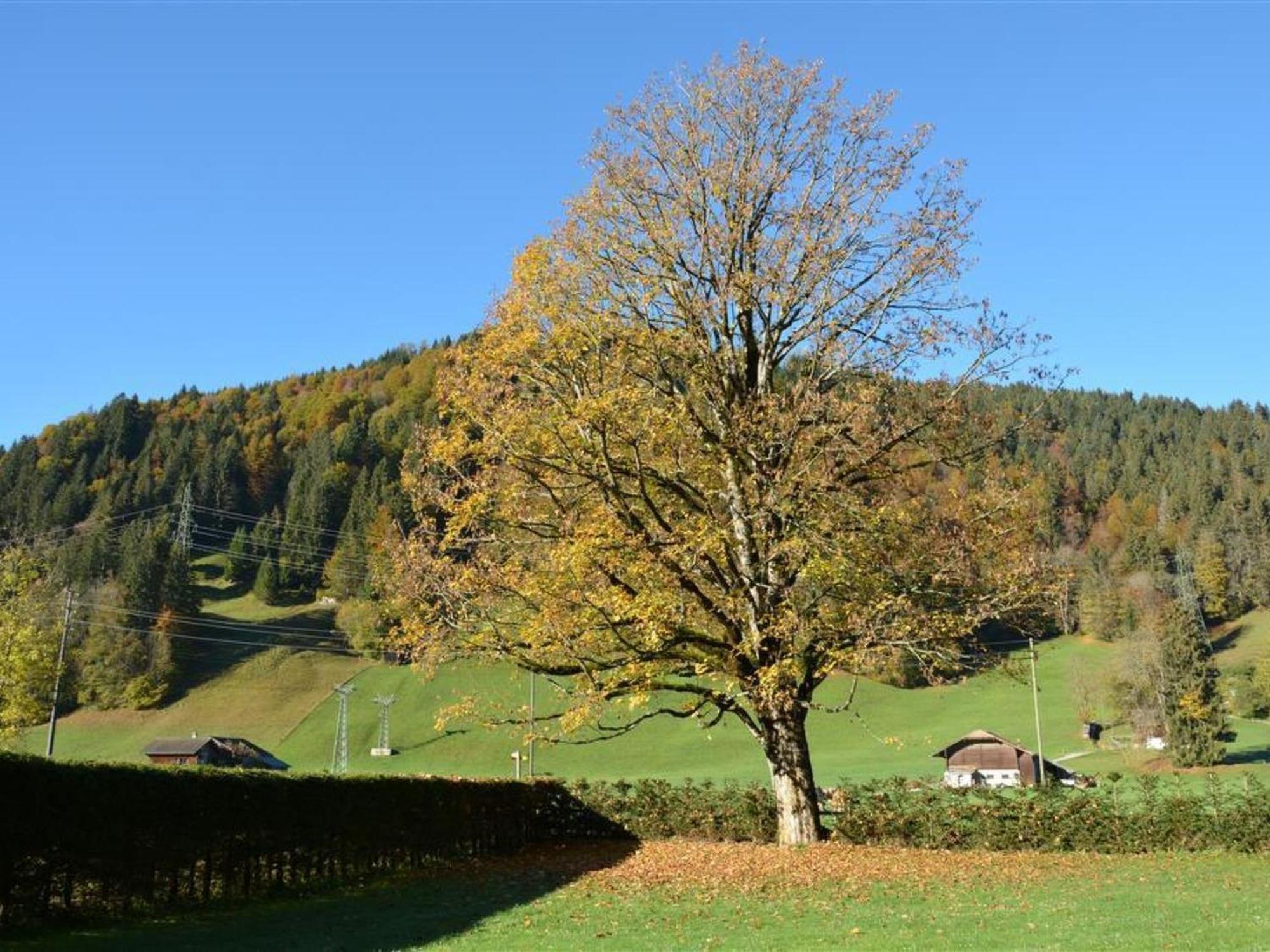 Apartment Oberland Nr- 3 By Interhome Gstaad Esterno foto